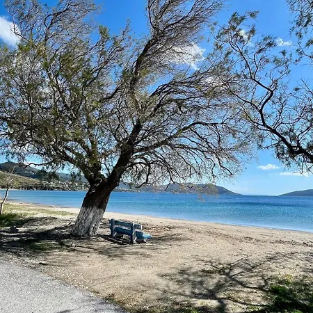 Βίλα Scenic Coastal Getaway Πόρτο Λάφια